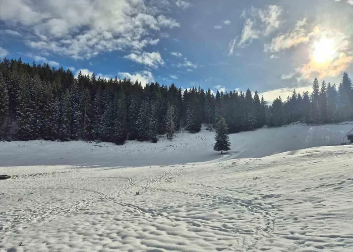 Koca Na Kranjski Dolini Krnica 93 A,pokljuka アパート