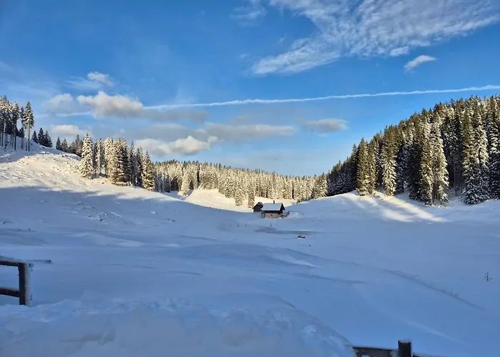 דירה Koca Na Kranjski Dolini Krnica 93 A,pokljuka Zgornje Gorje